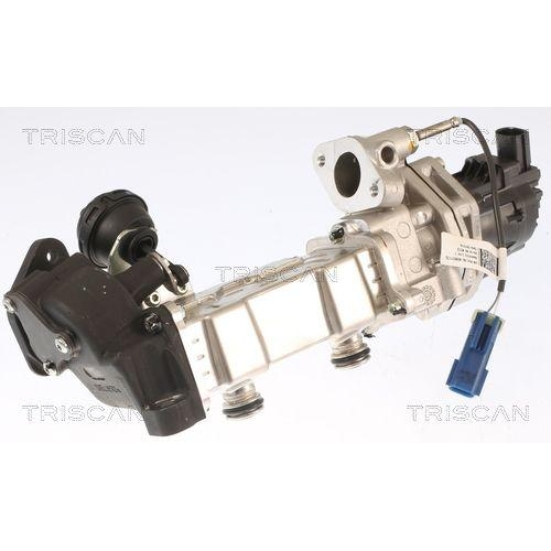 TRISCAN AGR-Ventil 8813 15001