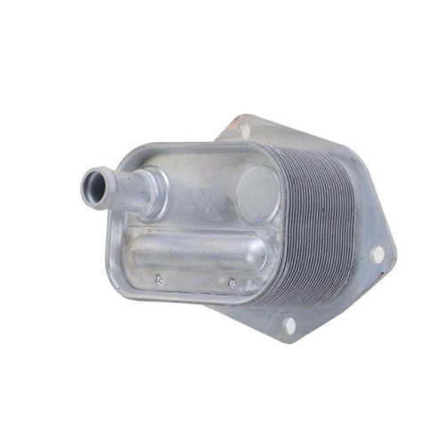 HELLA &Ouml;lk&uuml;hler, Motor&ouml;l 8MO 366 360-241