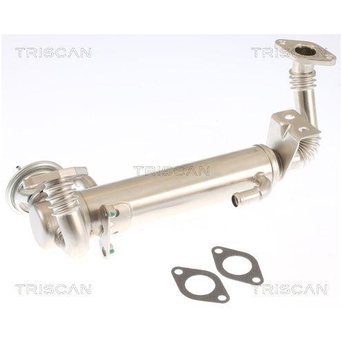 TRISCAN AGR-Ventil 8813 15074
