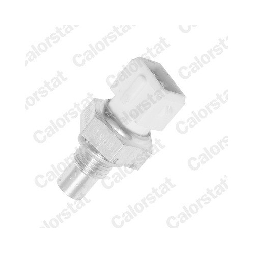 CALORSTAT by Vernet Sensor, K&uuml;hlmitteltemperatur WS2584