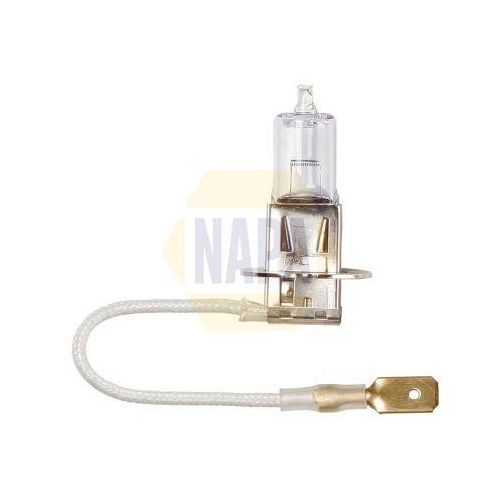 NAPA Gl&uuml;hlampe, Abbiegescheinwerfer NAPA NBU1453