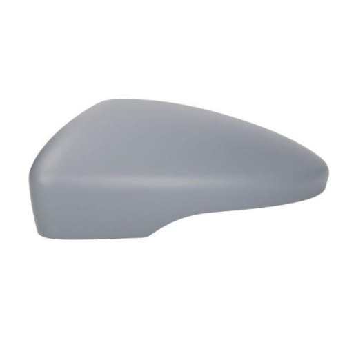 BLIC Gehäuse, Außenspiegel 6103-01-2002935P