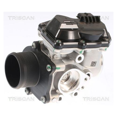 TRISCAN AGR-Ventil 8813 16002