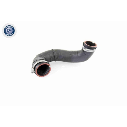 VAICO Ladeluftschlauch Q+, Erstausrüsterqualität