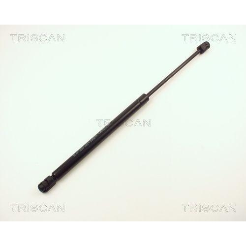 TRISCAN Gasfeder, Koffer-/Laderaum 8710 13258