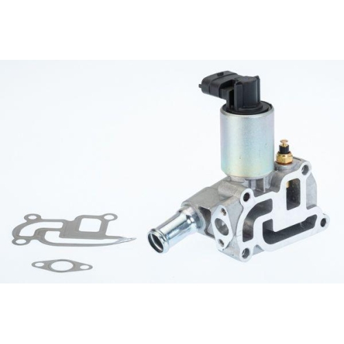 BorgWarner AGR-Ventil 710775D
