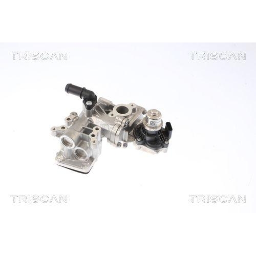 TRISCAN AGR-Ventil 8813 16005