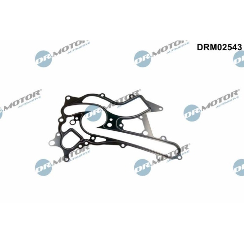 Dr.Motor Automotive Dichtung, Wasserpumpe DRM02543