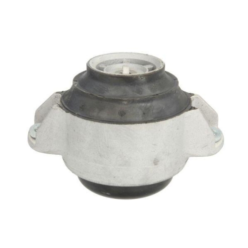 REINHOCH Lagerung, Motor RH11-3056