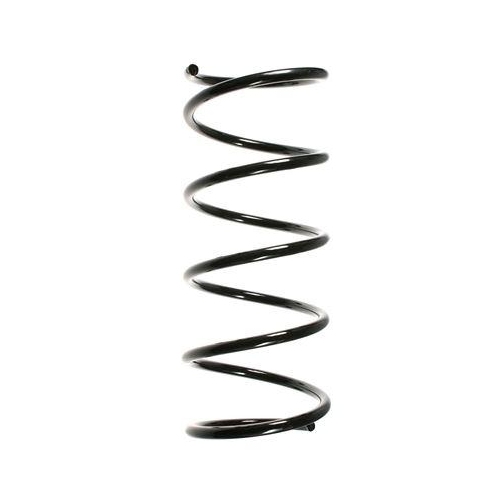 SPIDAN Fahrwerksfeder 55159