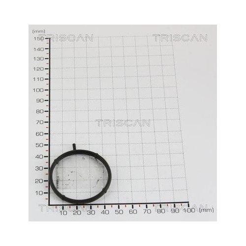 TRISCAN Dichtung