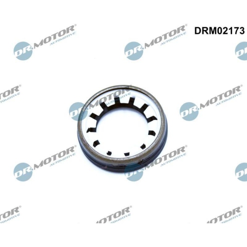 Dr.Motor Automotive Wellendichtring, Differential DRM02173