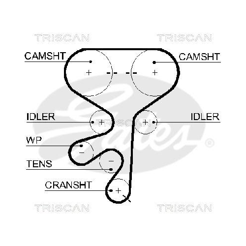 TRISCAN Zahnriemen 8645 5603XS