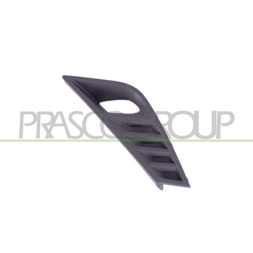 PRASCO L&uuml;ftungsgitter, Sto&szlig;f&auml;nger DS7042124