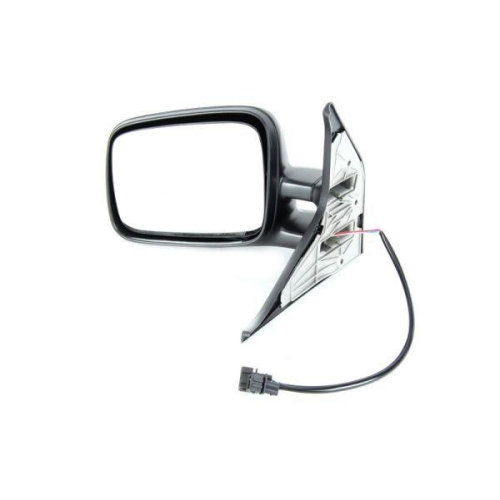 BLIC Außenspiegel 5402-04-1125981P