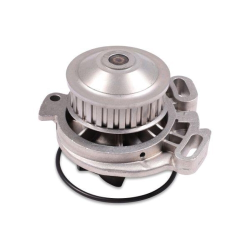 HEPU Wasserpumpe, Motork&uuml;hlung P526