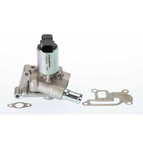 BorgWarner AGR-Ventil 710831D