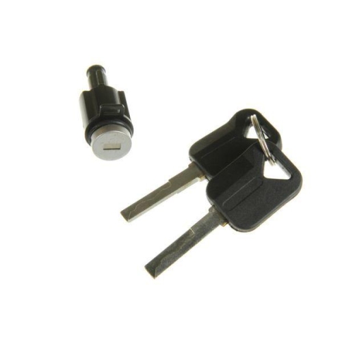 PACOL Schlie&szlig;zylinder BPD-VO026L/R