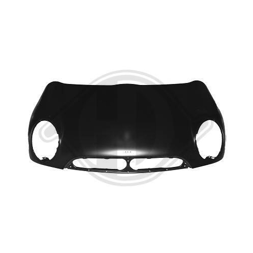 DIEDERICHS Motorhaube 1205000