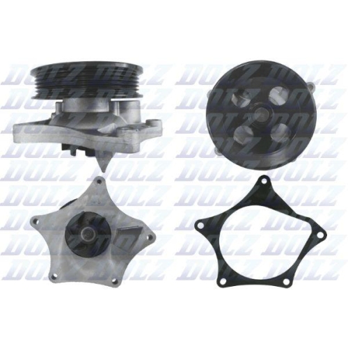 DOLZ Wasserpumpe, Motork&uuml;hlung