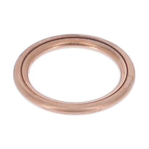 PAYEN Dichtring, &Ouml;lablassschraube PA349