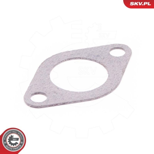 ESEN SKV Dichtung, AGR-Ventil 14SKV110