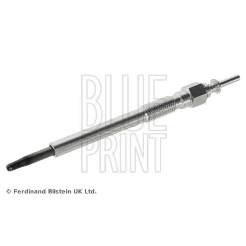 BLUE PRINT Gl&uuml;hkerze ADZ91818