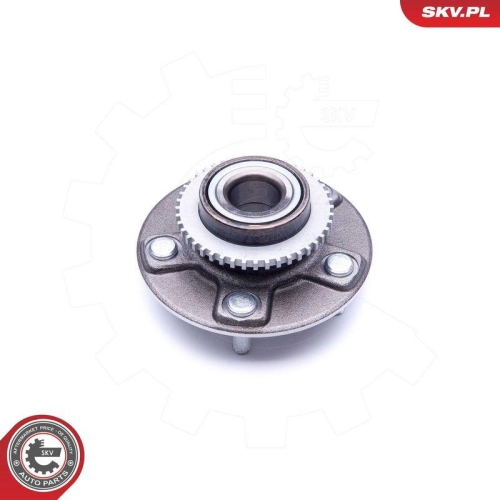 ESEN SKV Radlagersatz 29SKV205