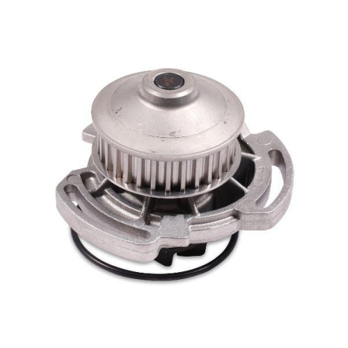 HEPU Wasserpumpe, Motork&uuml;hlung P533