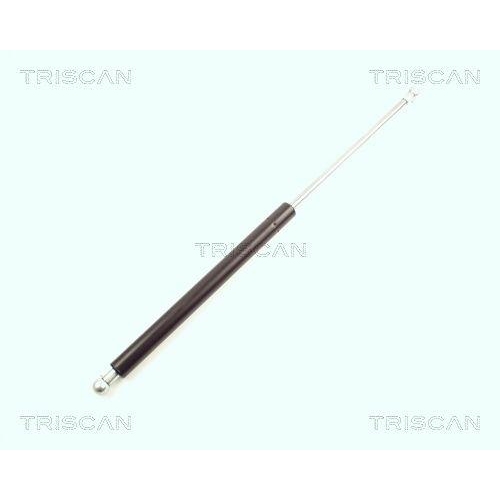 TRISCAN Gasfeder, Koffer-/Laderaum 8710 16216