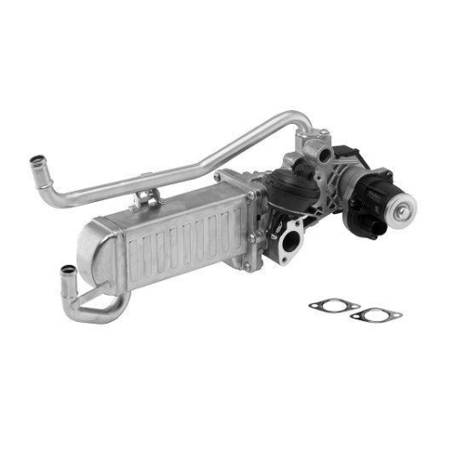 BorgWarner AGR-Modul OE-Version/Erstausr&uuml;stung 710863D
