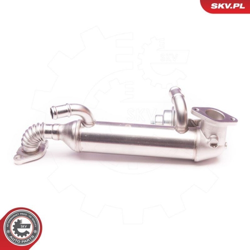 ESEN SKV AGR-Ventil 14SKV119