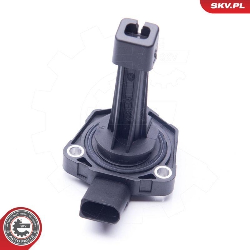 ESEN SKV Sensor, Motor&ouml;lstand 17SKV378