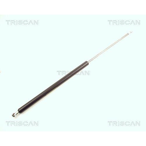 TRISCAN Gasfeder, Koffer-/Laderaum 8710 16217