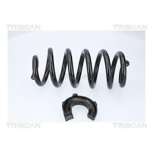TRISCAN Fahrwerksfeder 8750 29578
