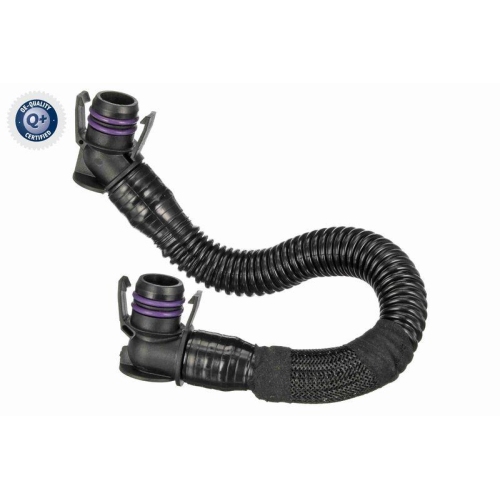 VAICO K&uuml;hlerschlauch Green Mobility Parts