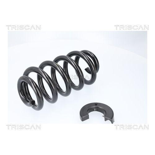 TRISCAN Fahrwerksfeder 8750 29579