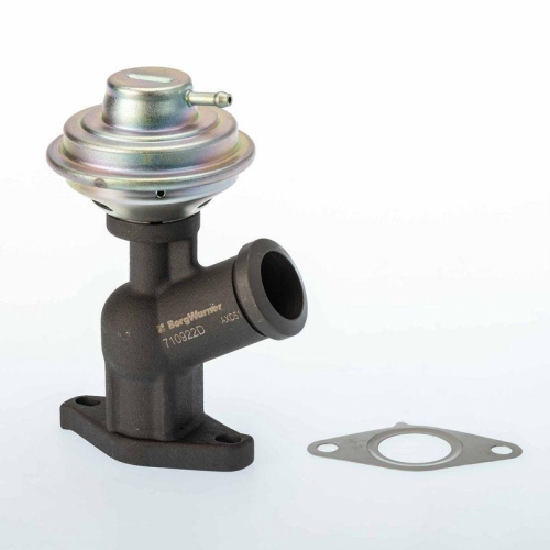 BorgWarner AGR-Ventil 710922D
