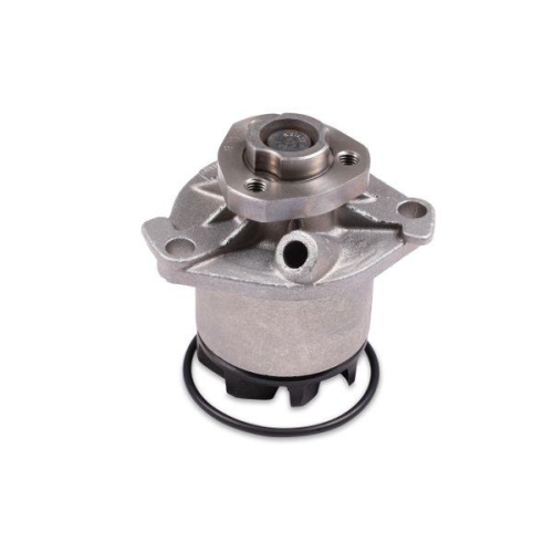 HEPU Wasserpumpe, Motork&uuml;hlung P524