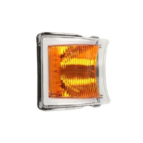 TRUCKLIGHT Blinkleuchte CL-SC002