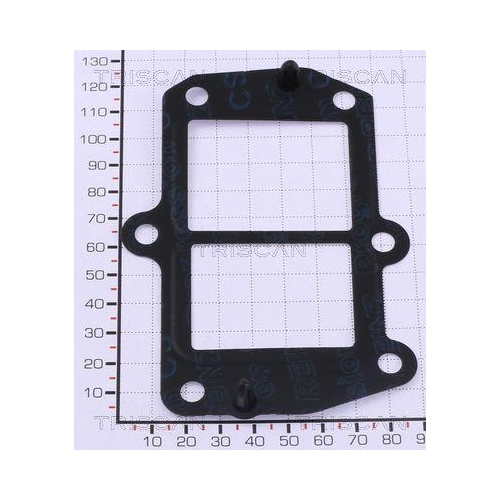 TRISCAN Dichtung 8813 99166