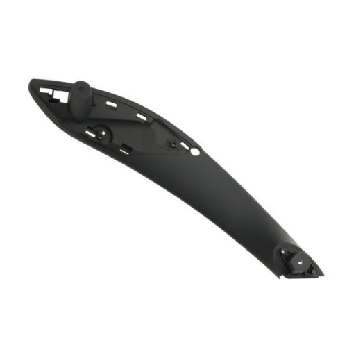 BLIC Türgriff, Innenausstattung 8800-00-1950201P