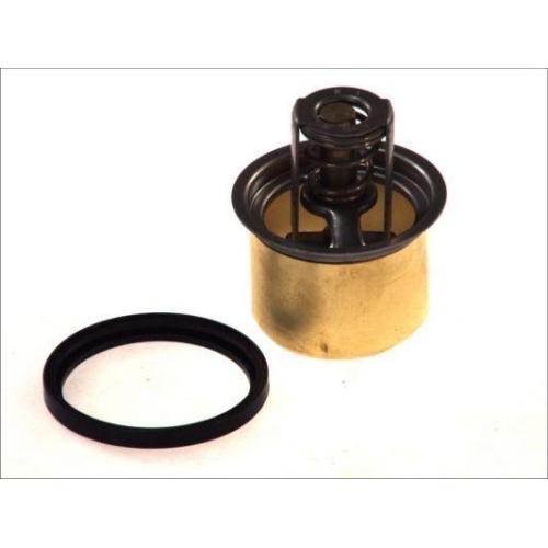 THERMOTEC Thermostat, K&uuml;hlmittel D2RV001TT