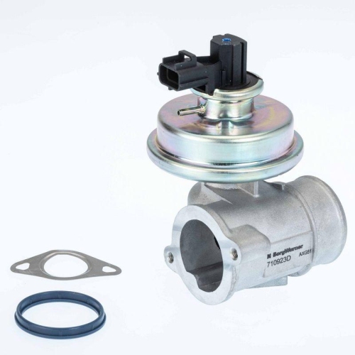 BorgWarner AGR-Ventil 710923D