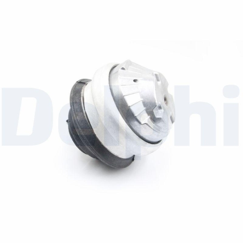 DELPHI Lagerung, Motor TEM168