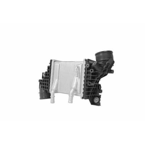 HELLA Ladeluftk&uuml;hler 8ML 366 340-731
