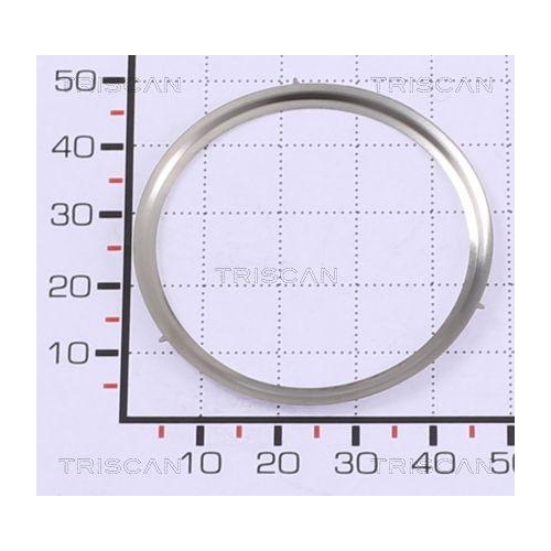 TRISCAN Dichtung 8813 99169