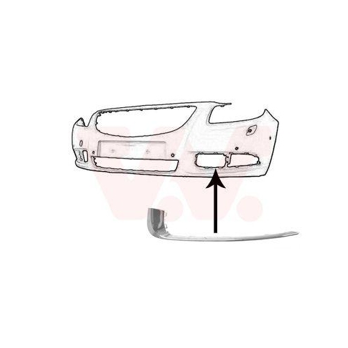 VAN WEZEL Zier-/Schutzleiste, Sto&szlig;f&auml;nger ** Equipart ** 3850581