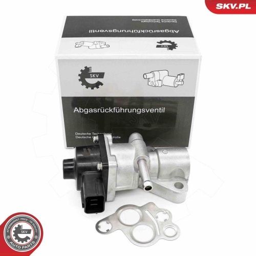 ESEN SKV AGR-Ventil