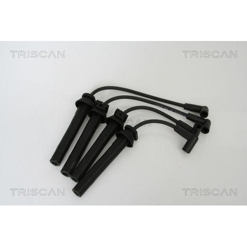 TRISCAN Z&uuml;ndleitungssatz